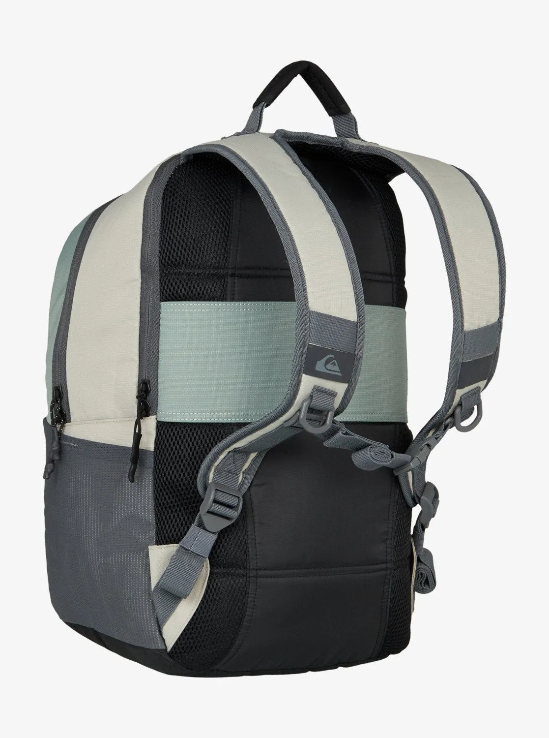Quiksilver Men's Freeday 20L Backpack Bran EQYBP03710-CMN0